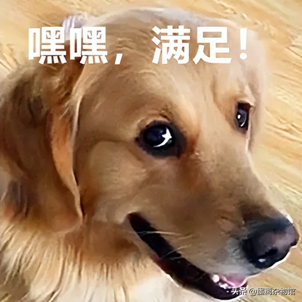 中国队世界杯搞笑视频,世界杯失误搞笑视频