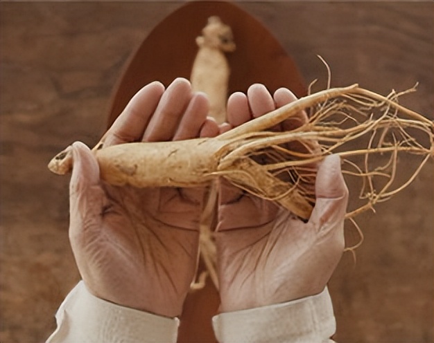 正官庄产品怎么样,正官庄红参哪一款性价比高