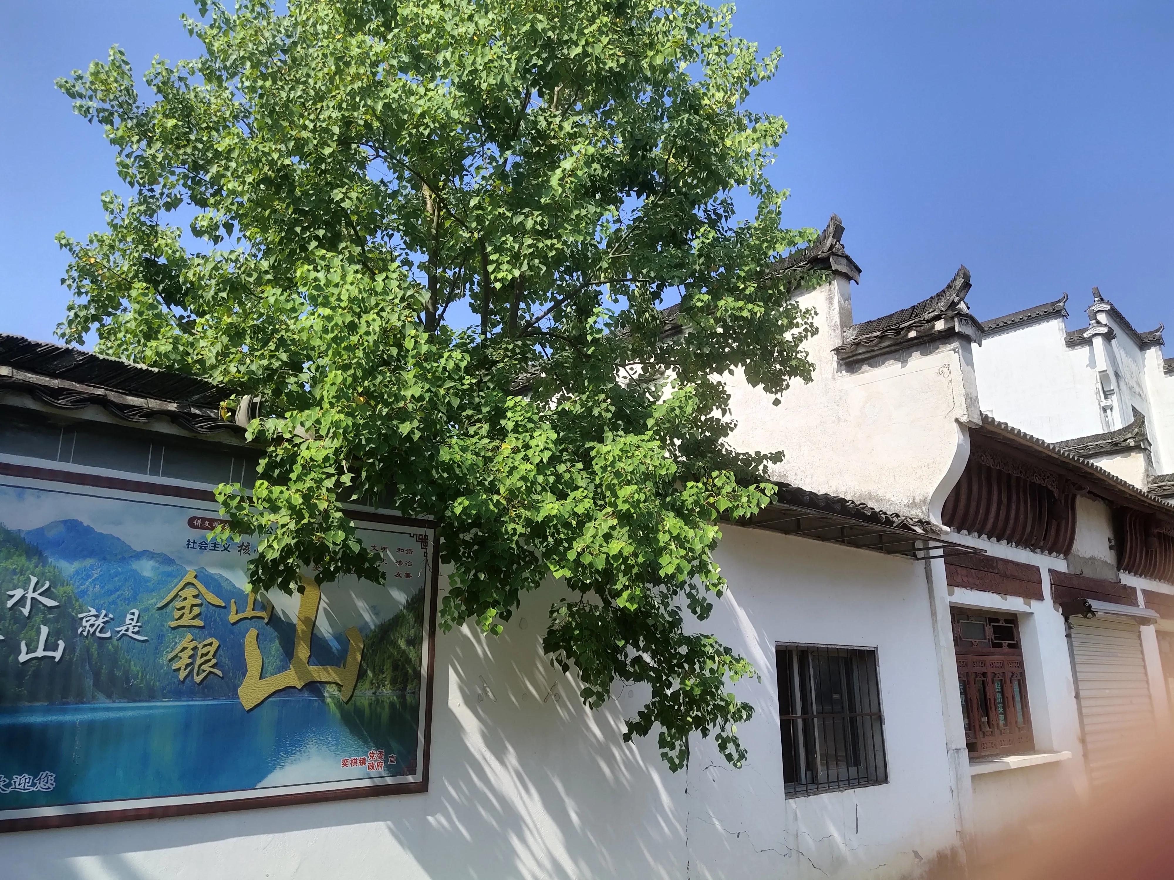 徽派建筑100张图片,徽派建筑视频大全高清