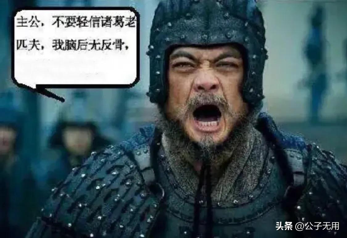 关羽孤傲为什么不敢轻视魏延,关羽为何杀魏延