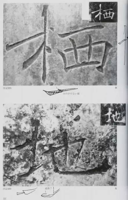 宸ョ瑪鐢绘潹鏅箟鐢诲唽,鏉滈箖鏉ㄦ櫘涔夊畬鏁寸増