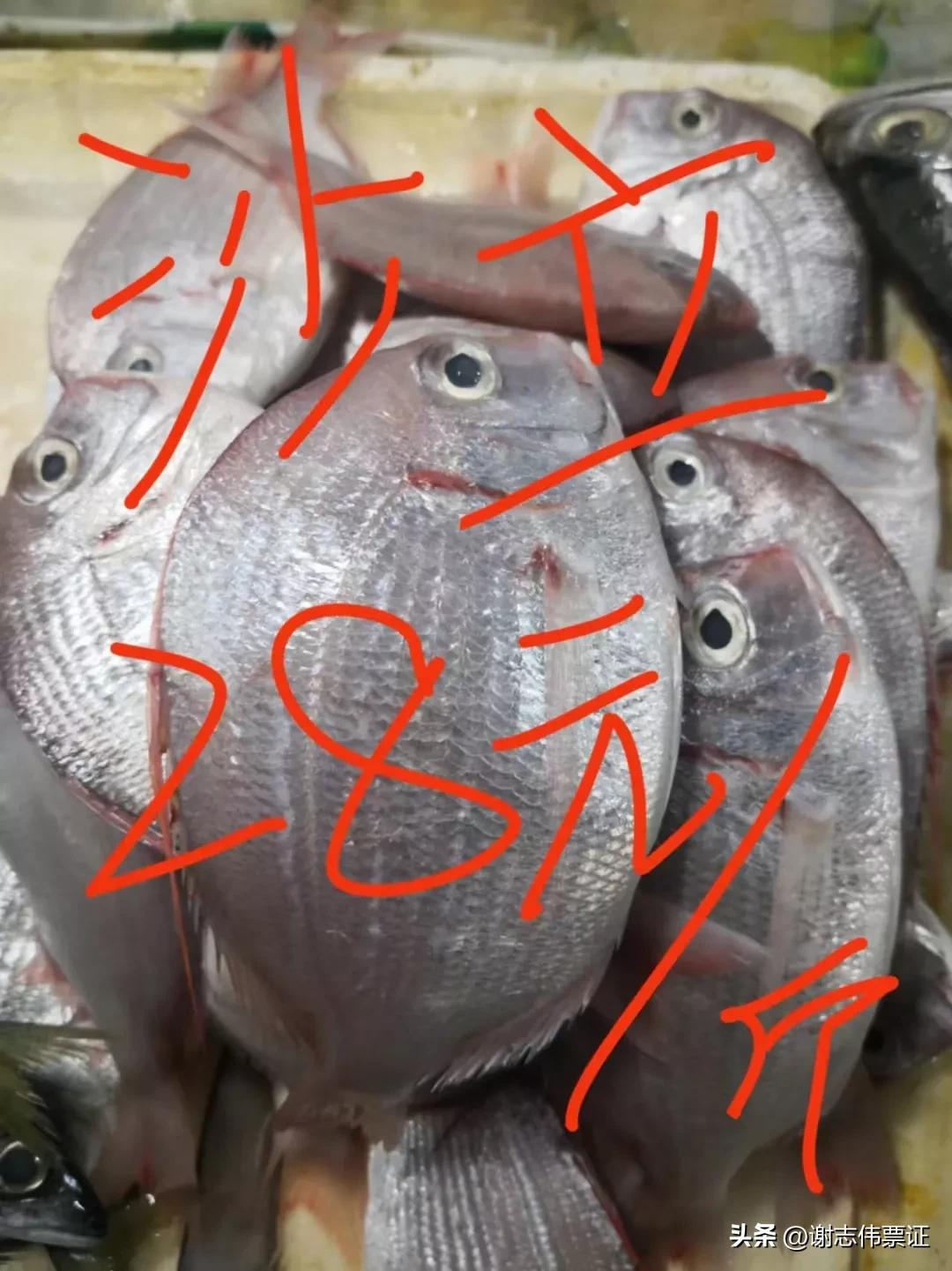 海南风情（015）上埇村海鱼价目知多少