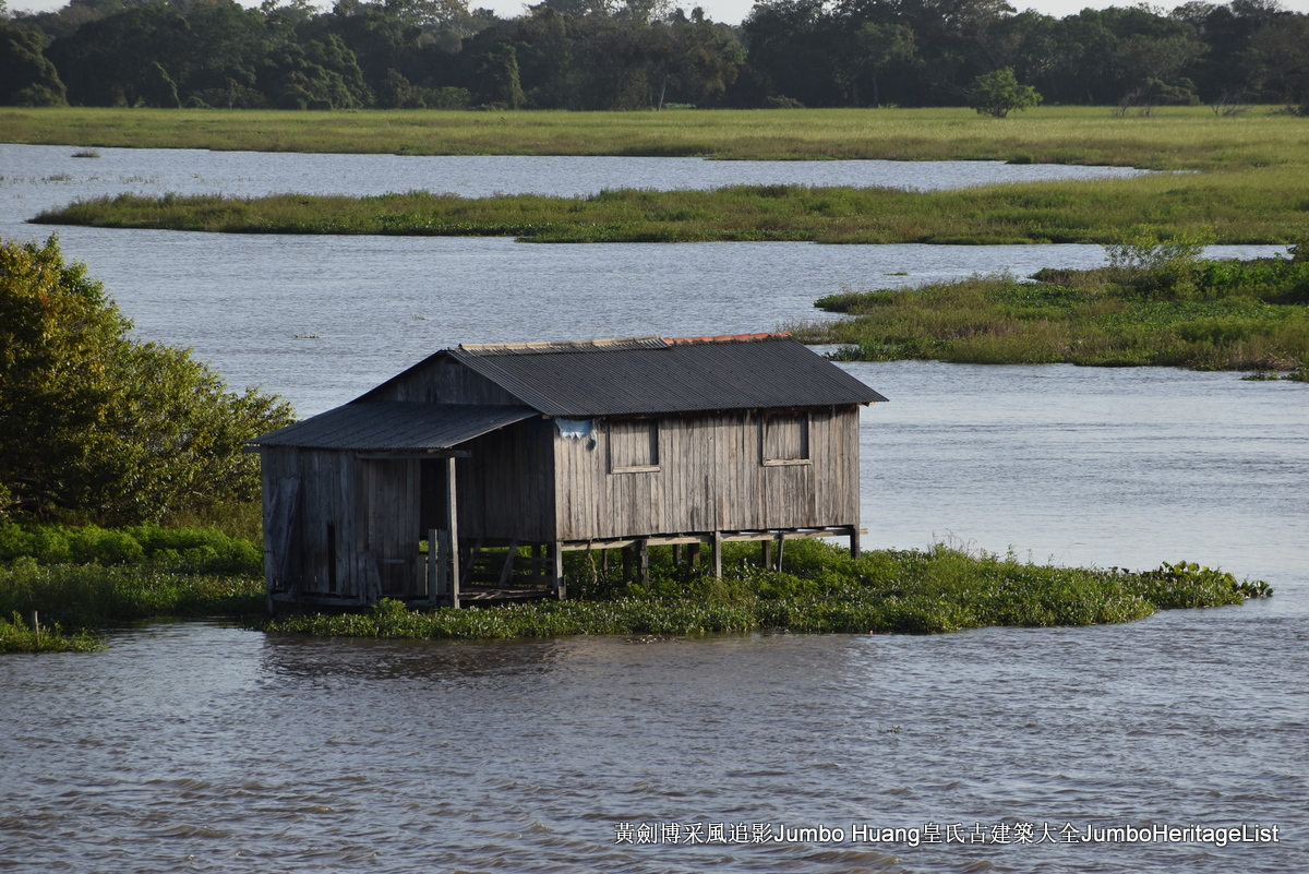 第5047回：消失的亚马逊文明，流失的林下聚居地
