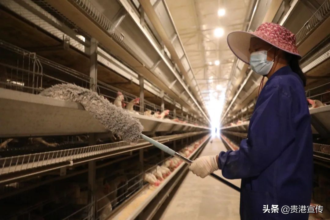 有机生态农场招商,有机生态农业赚钱吗