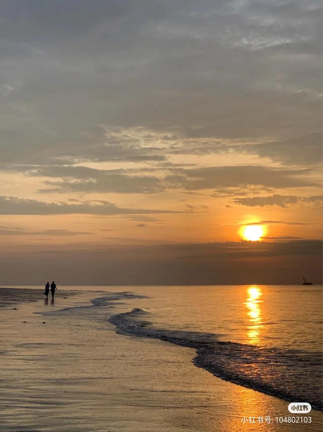 看海赶海视频大全,看海赶海适合去哪里玩