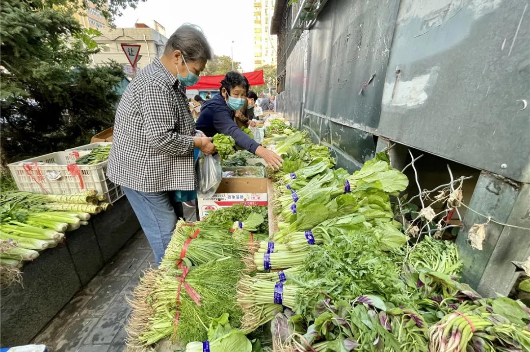 这里冬天很温暖,这个冬天阳光很暖