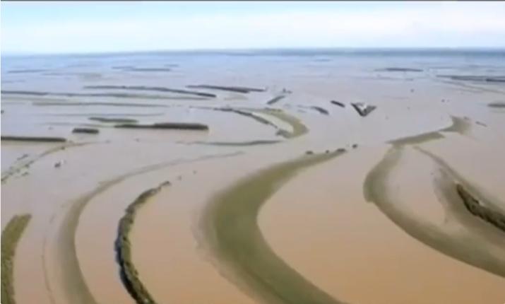 水火无情人有情视频,水火无情人有情湖北