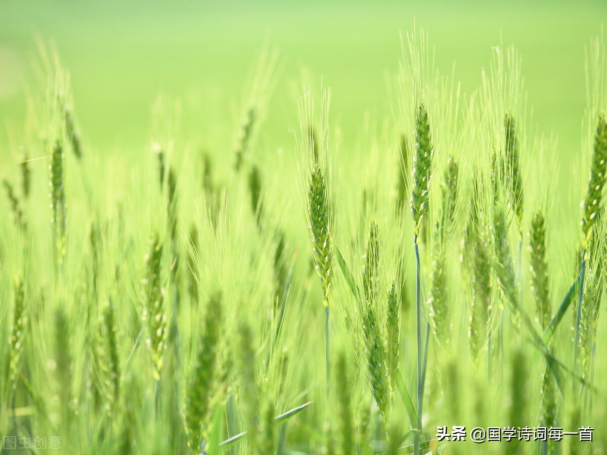 花字飞花令诗句大全1000句,带少的诗句飞花令500首完整版