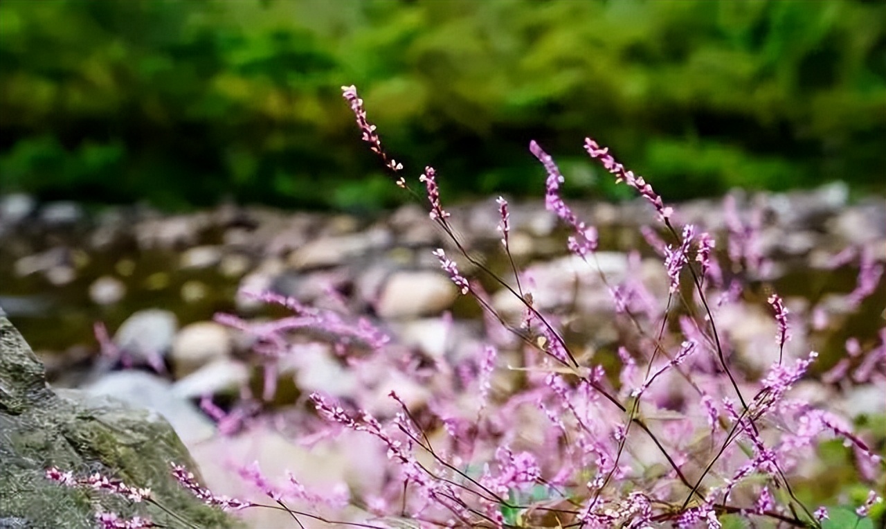 桂林夏天哪里方便避暑,桂林避暑耍水最好的地方