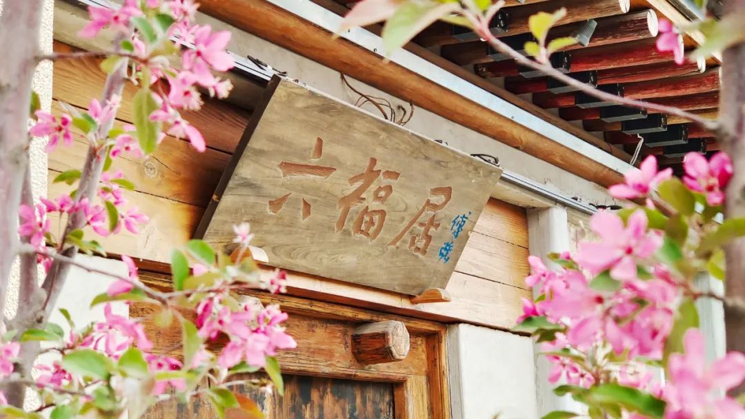 乐亭必去十大景点免费,去唐山乐亭