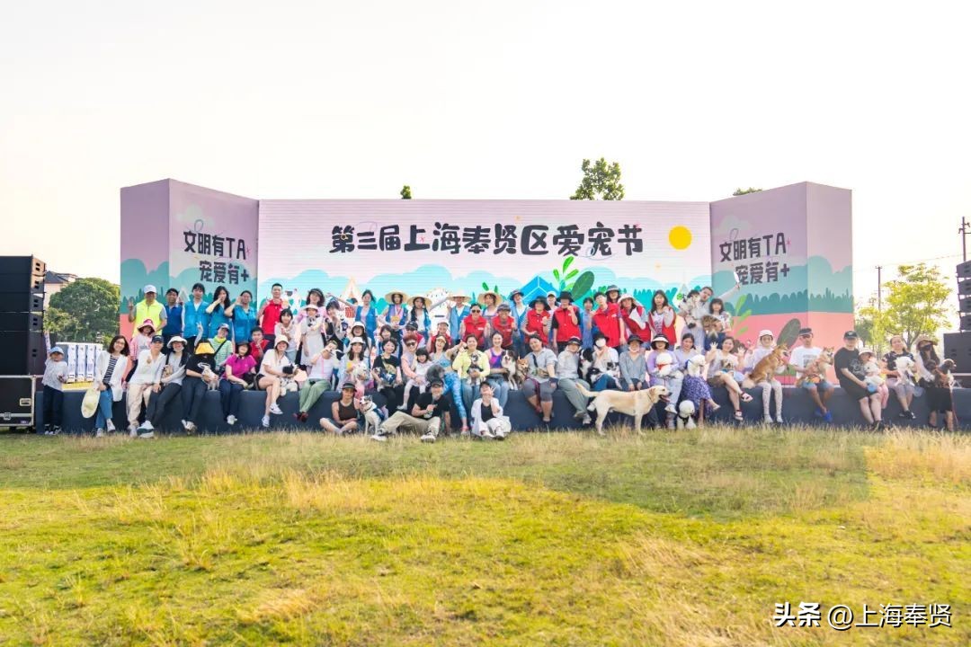 打造宠物社区,宠物友好型城市建设