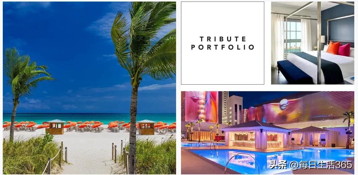 酒店品牌表,酒店品牌介绍范文