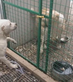 误发给女房东的微信,给老婆发短信误发给了女房东