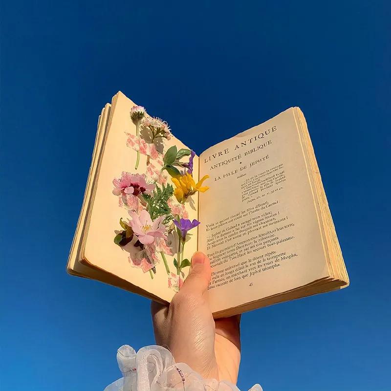 第二章财富的本质,第二章收入费用利润