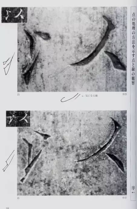 宸ョ瑪鐢绘潹鏅箟鐢诲唽,鏉滈箖鏉ㄦ櫘涔夊畬鏁寸増