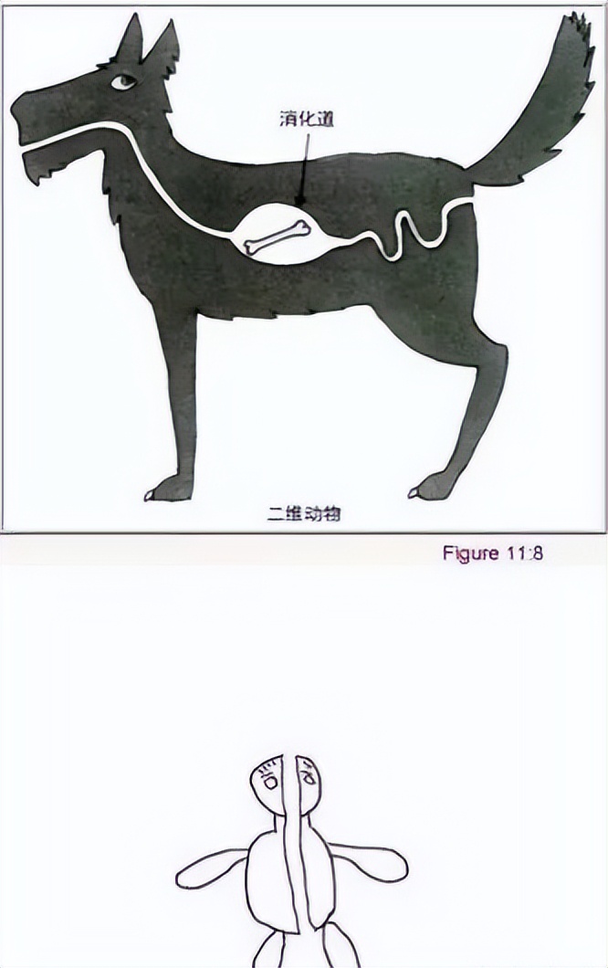 刘慈欣在三体中对暗物质的看法,刘慈欣的三体黑暗森林