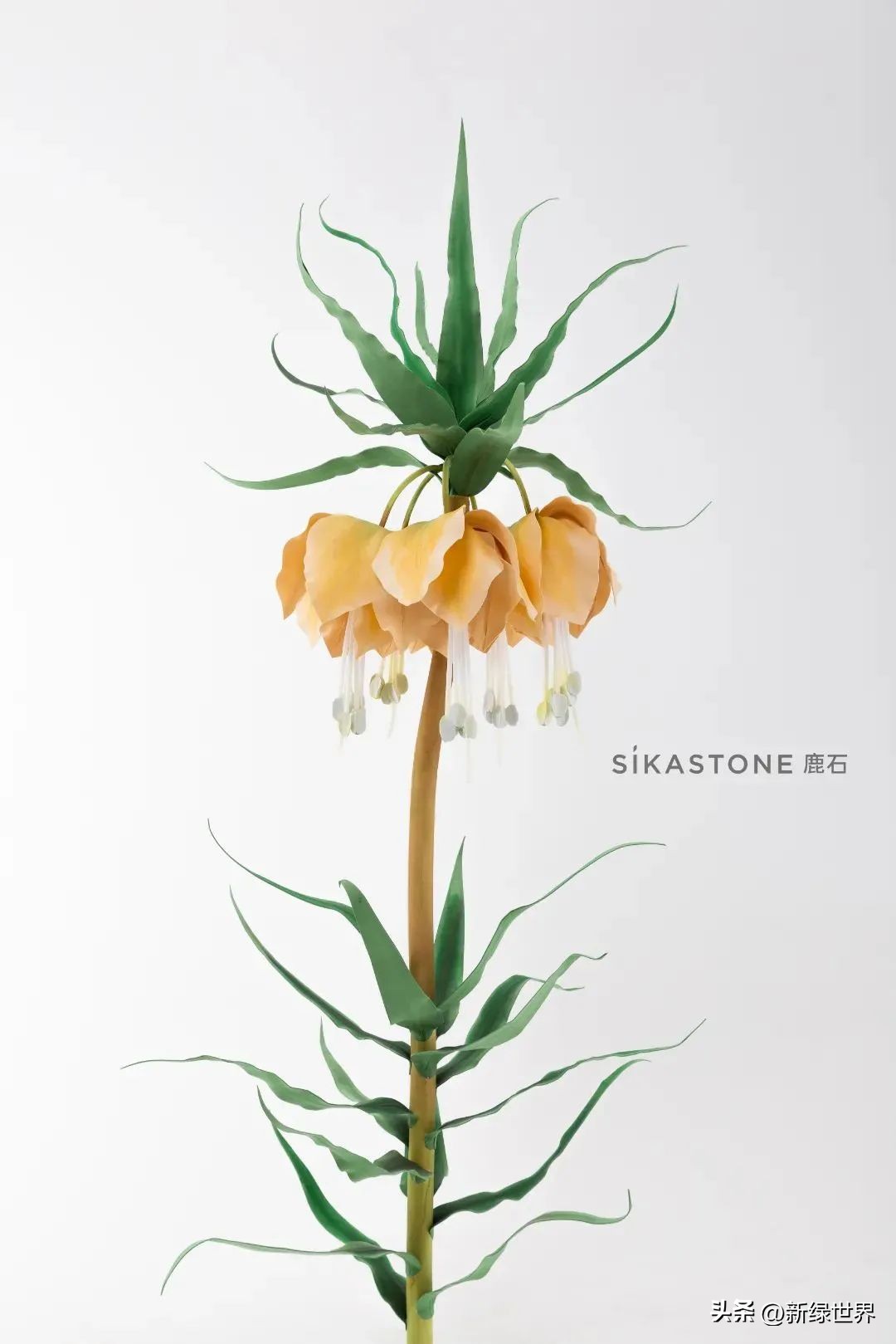 纸艺作品绘画,千变万化的纸艺术作品