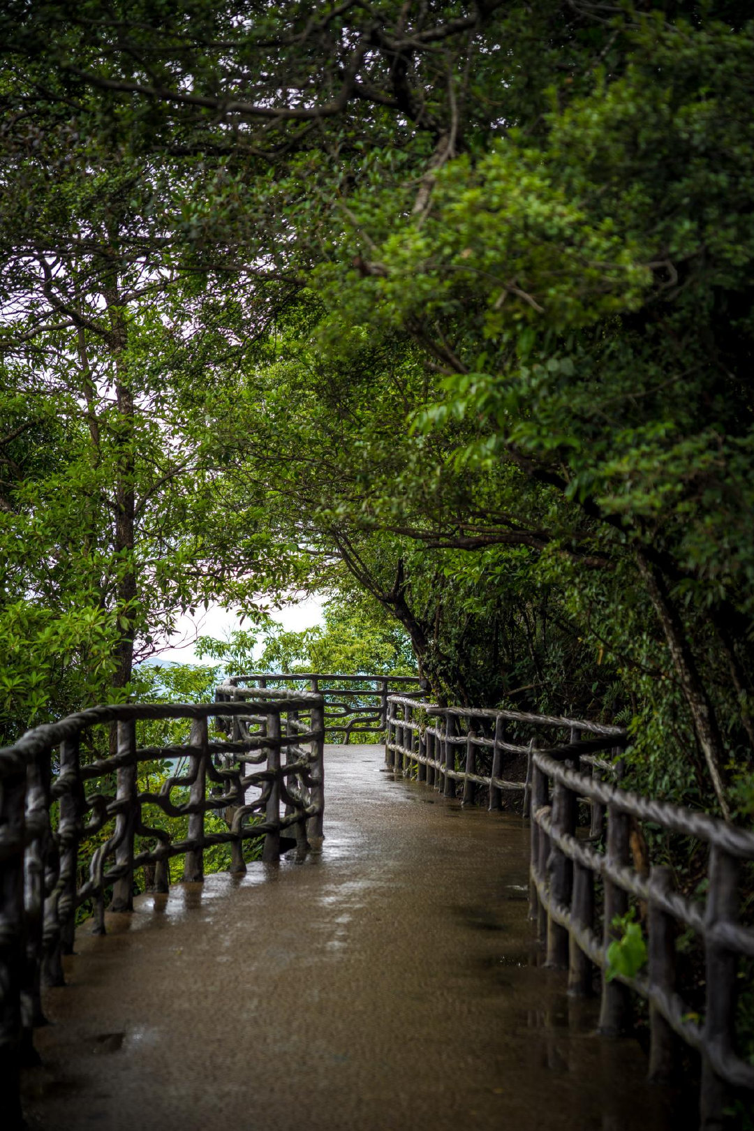 不用爬到山顶也能看到的美景,不用爬风景又好的山