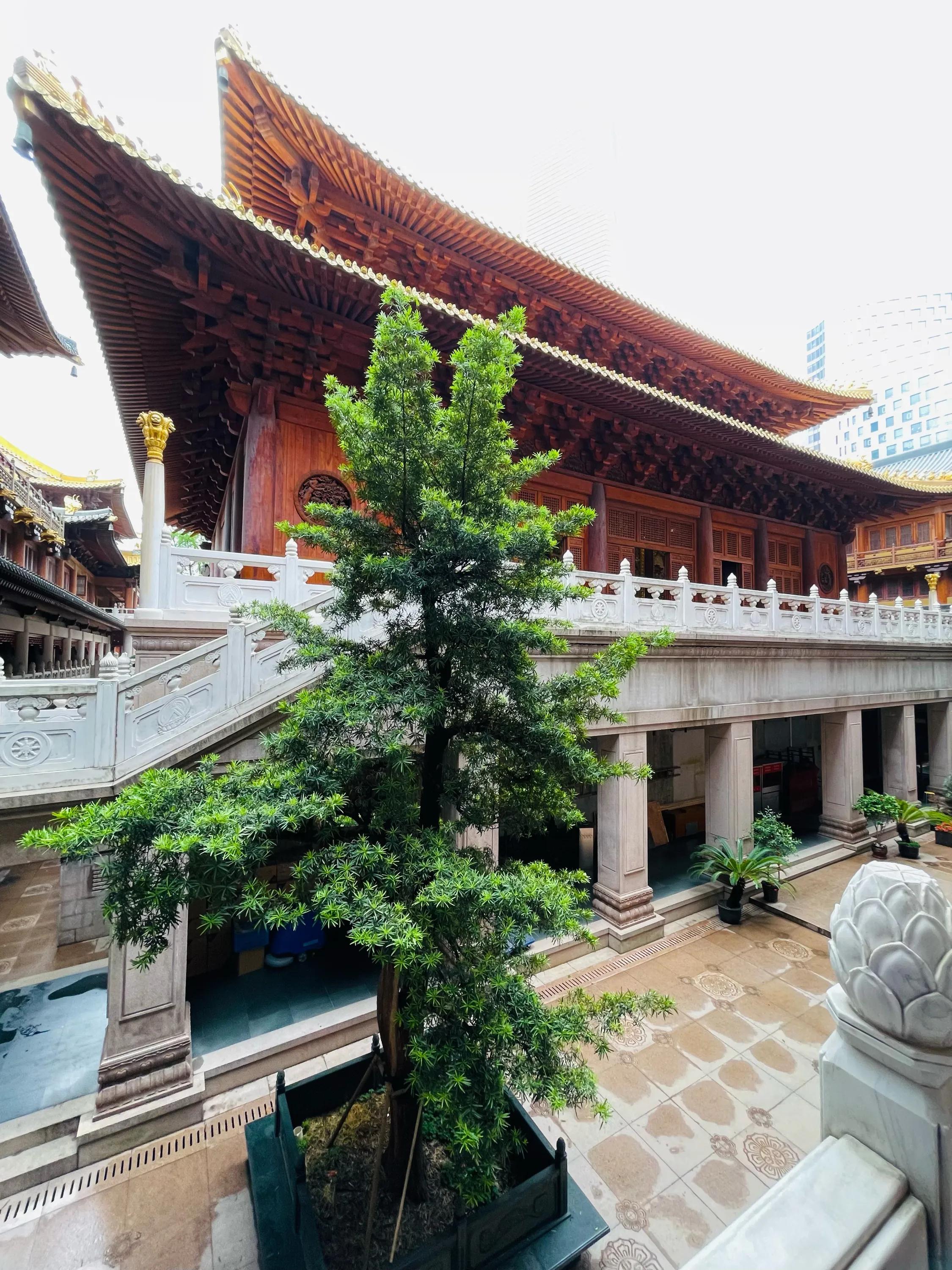 千年古刹静安寺,千年古刹静安寺保佑什么