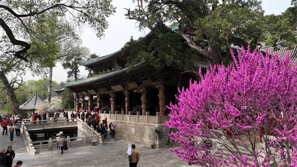 晋祠博物馆山西文旅,晋祠博物馆是几a级景区