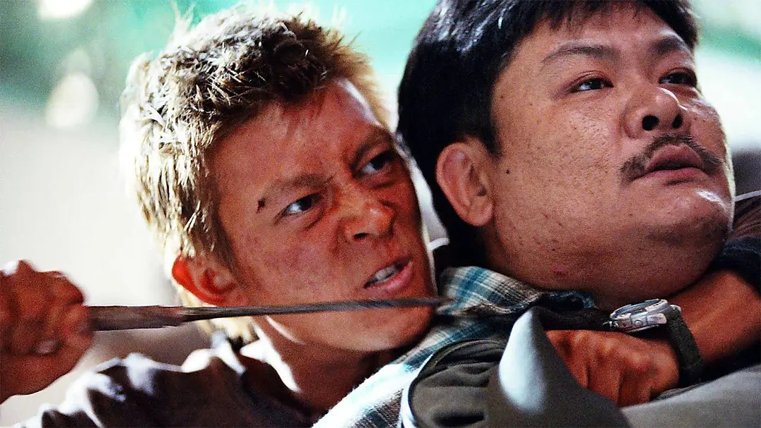 香港电影十大功夫对决,20年来100部最佳电影