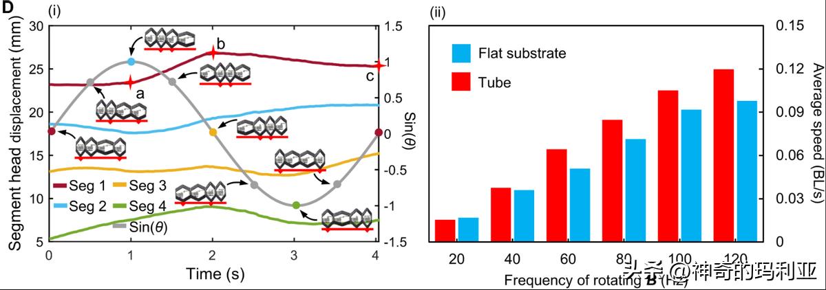 用于无线控制毫米级机器人的磁致动齿轮箱，其究竟有何作用