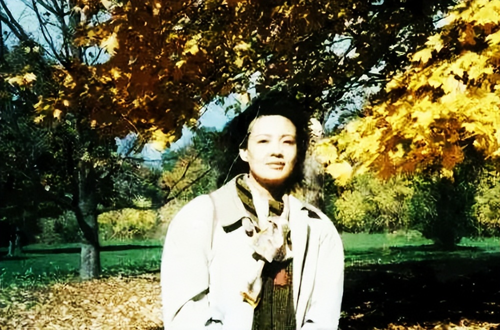 张兰几岁去加拿大,张兰加拿大打黑工经历