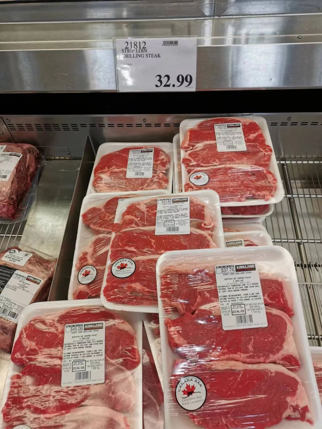 移民多伦多需要什么,移民多伦多做什么