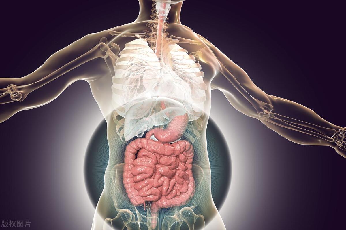 经常“放屁”是肝不好吗？医生提醒：放屁多，或与5个原因有关