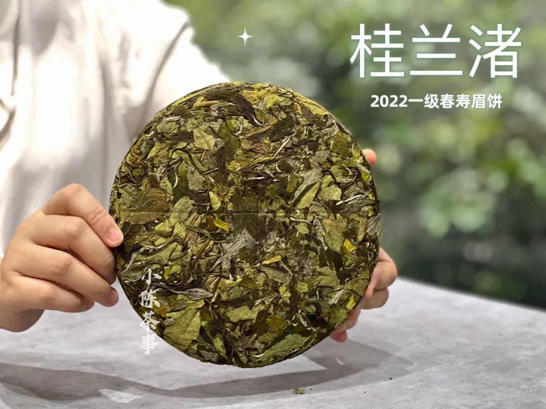 白茶闻着啥味,白茶好闻不