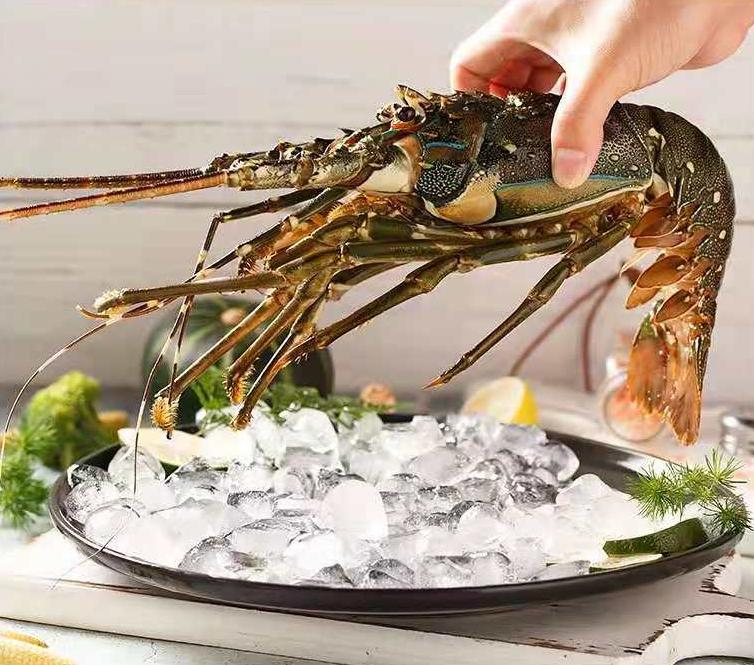 贵阳市进口商品年货节,2023贵阳进口商品节地址