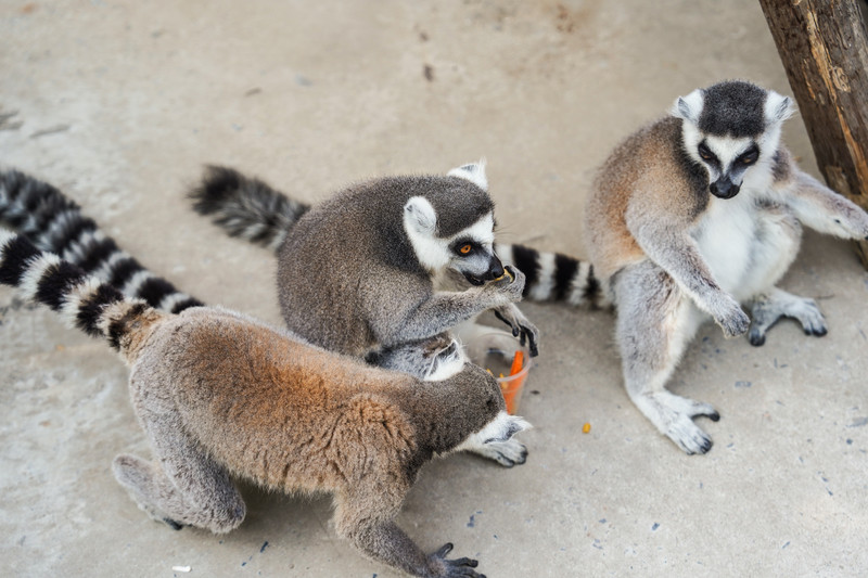 宿州两日游,安徽宿州一日游推荐