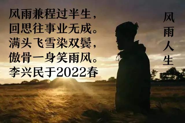 风雨人生藏头诗全诗,风雨人生20年的诗句