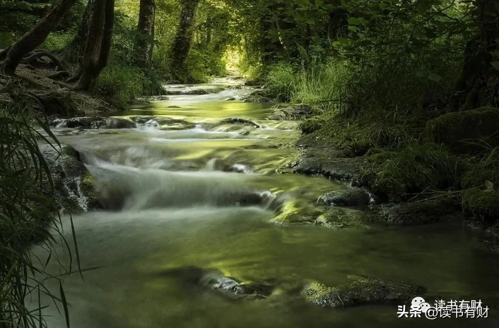 人生的三大杠杆,人生成功需要杠杆