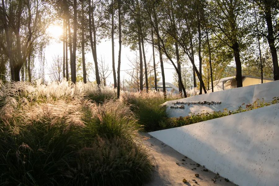 北京海淀光合公园在哪,海淀光合公园平面图