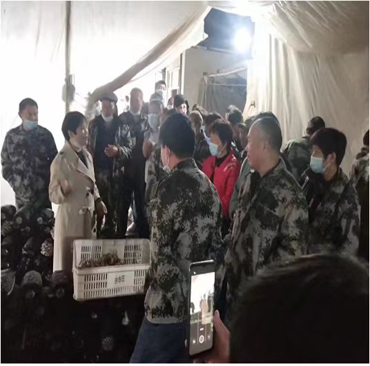 “鸿雁”高飞种养结合创丰收——记河东区鸿雁人才马利娟