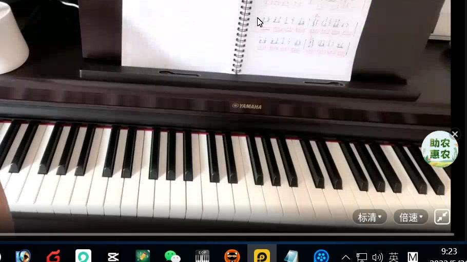 电脑学《网大》玩《微信》