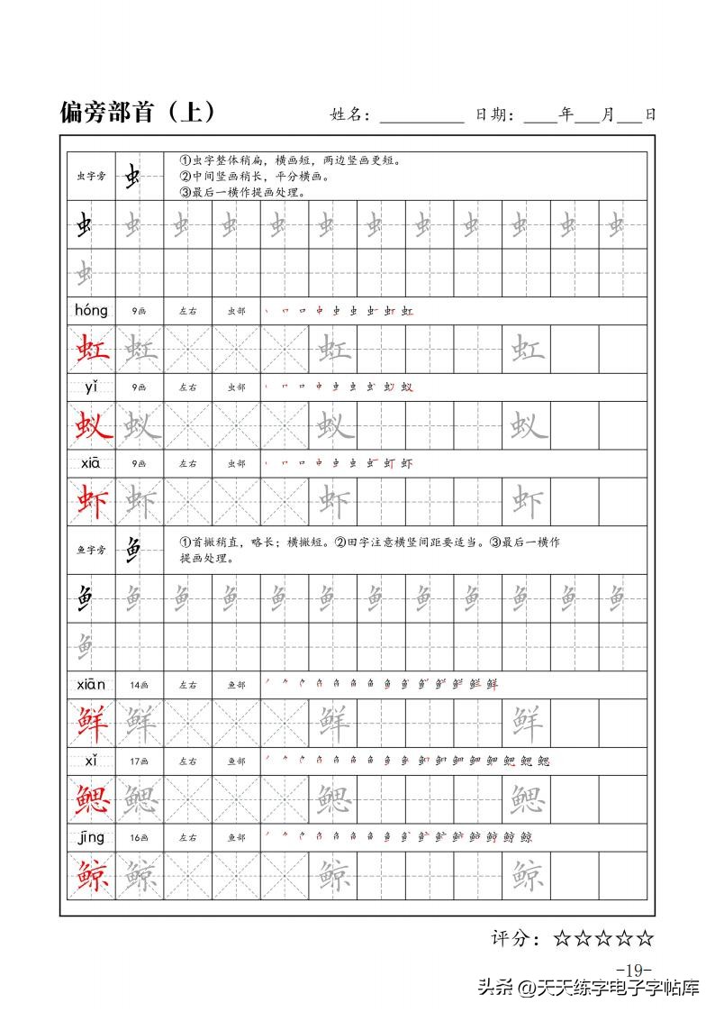 练字必练的100个偏旁部首字帖,练字必练的偏旁部首的视频