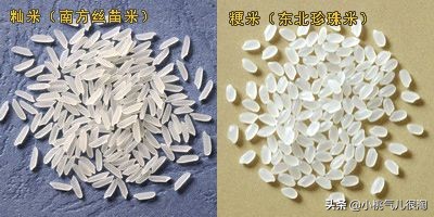 米饭多久能够煮好,如何煮好米饭