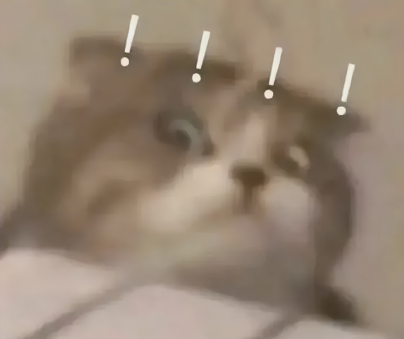 将手机卡银行卡交给别人有风险吗,手机卡和银行卡可以给他人使用吗