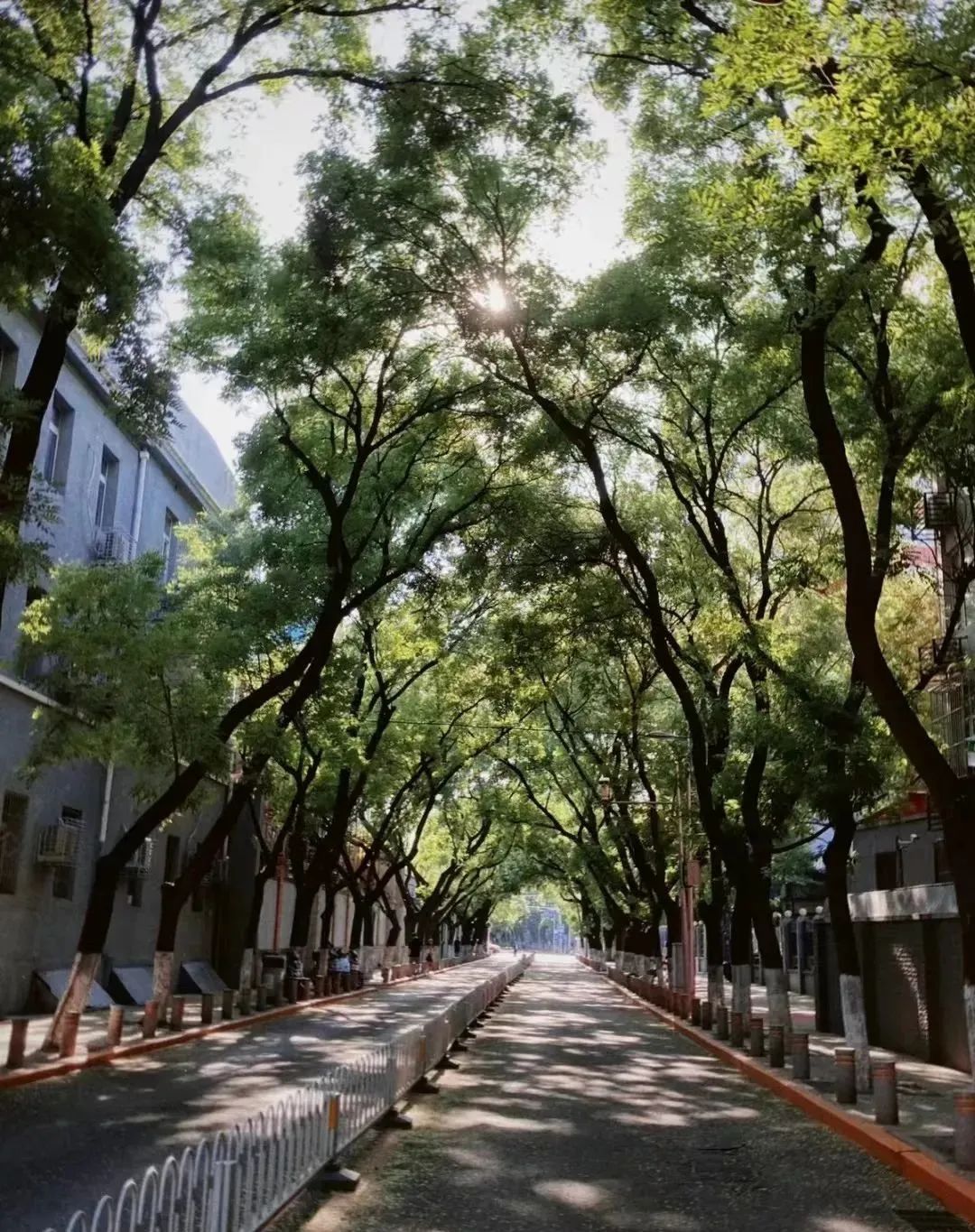 25年最挣钱的行业,25年自行车市场