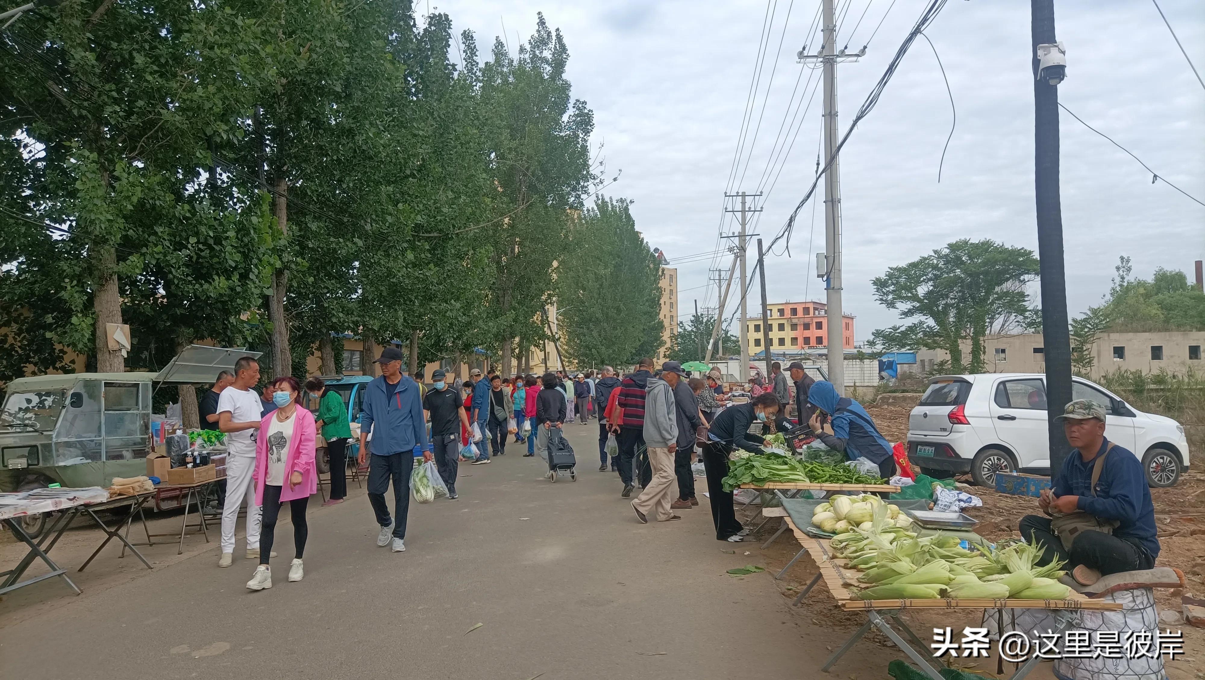 思拉堡温泉小镇离早市近的温泉,思拉堡温泉小镇大集位置