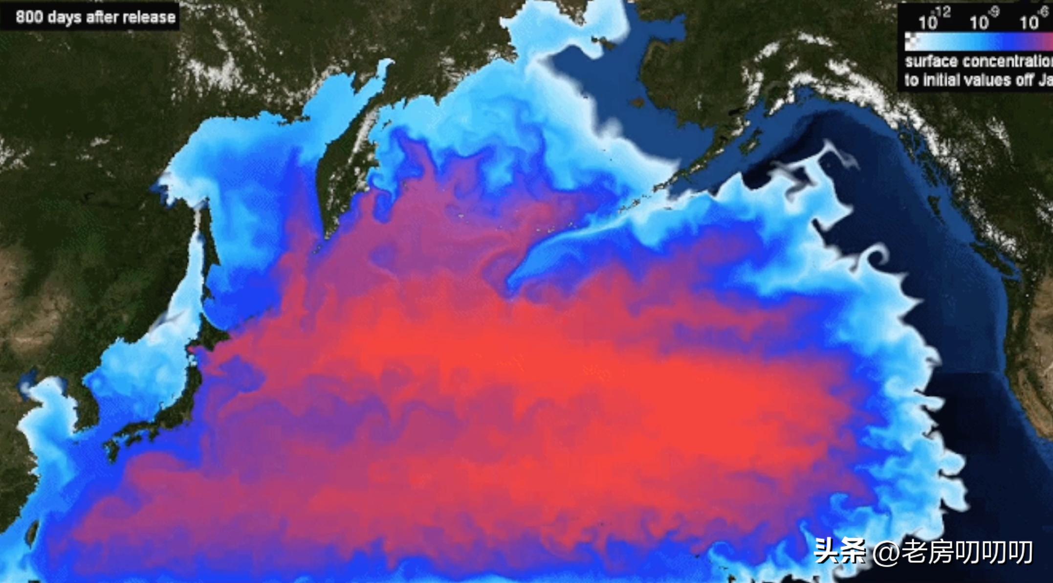 西方媒体集体沉默！日本核污水排海，加拿大大火，2024将面临什么