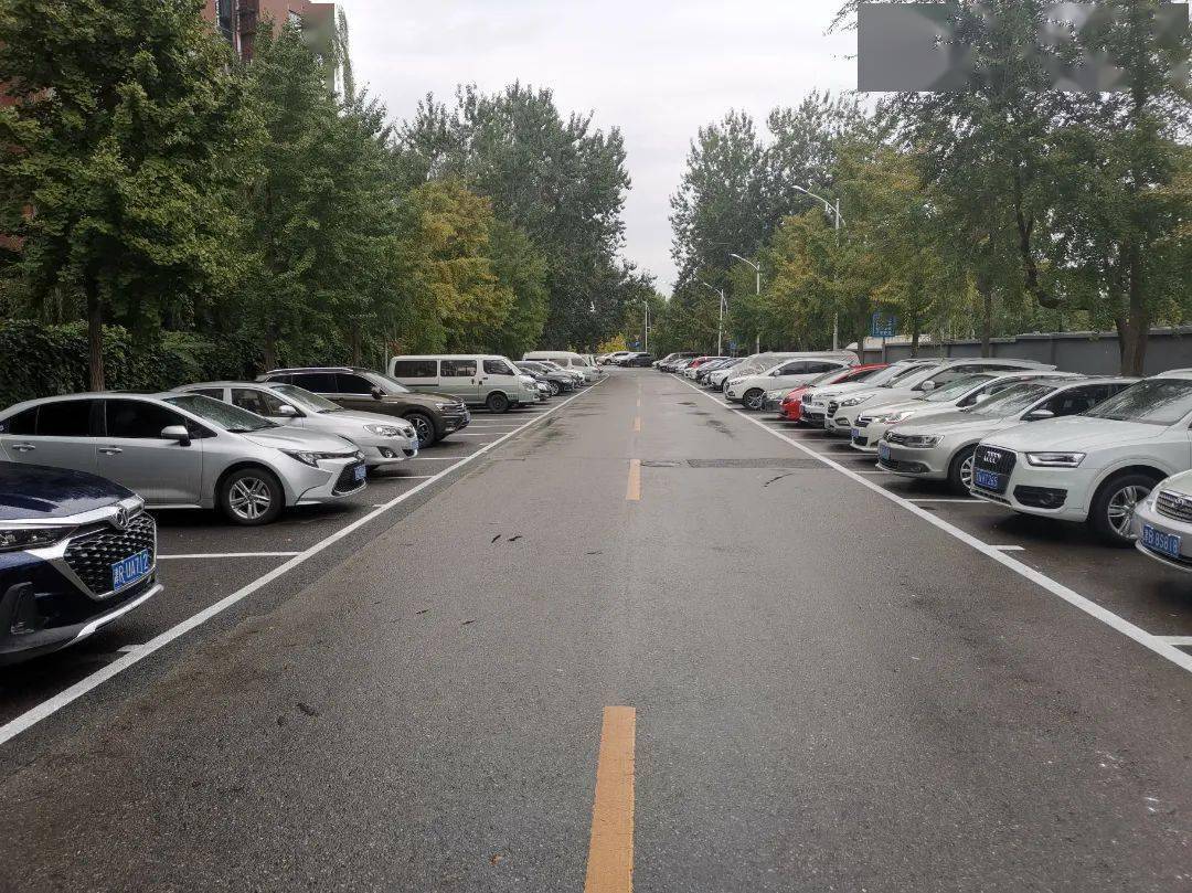 停车场盈利分析,3万平的停车场一年有多少利润