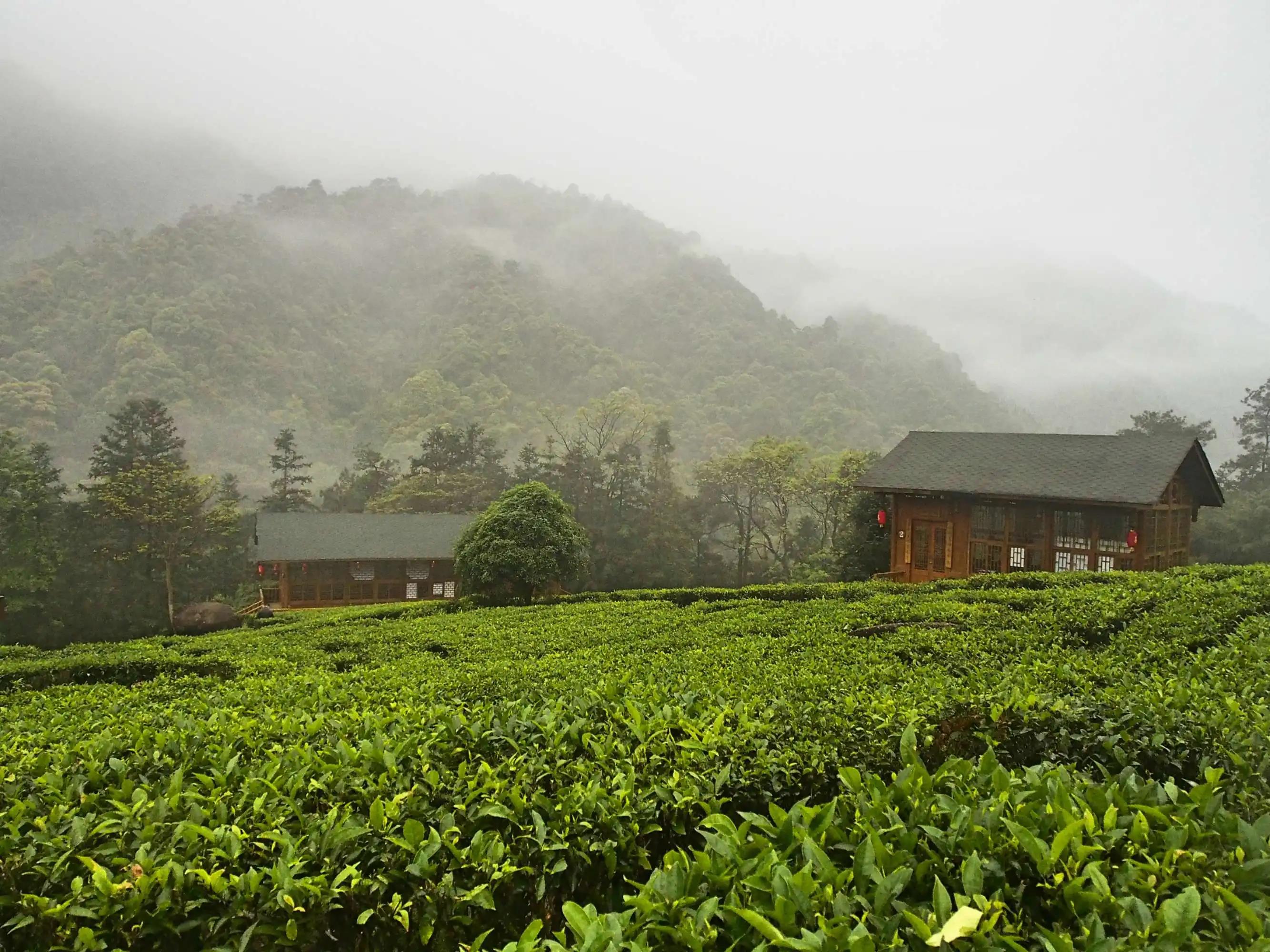 贺州姑婆山取景,贺州姑婆山民宿