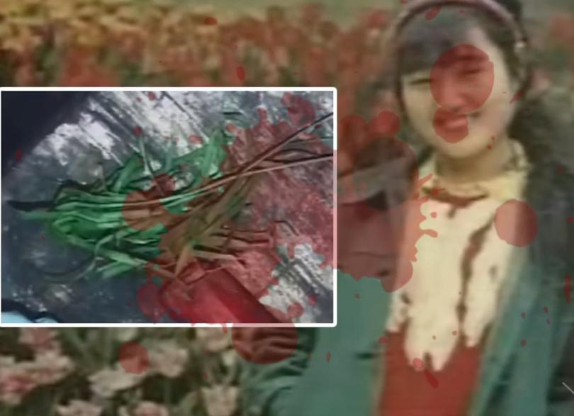 变态*杀凶**案！少女惨遭变态*魔色**砍成人彘，下身被塞满韭菜死去！