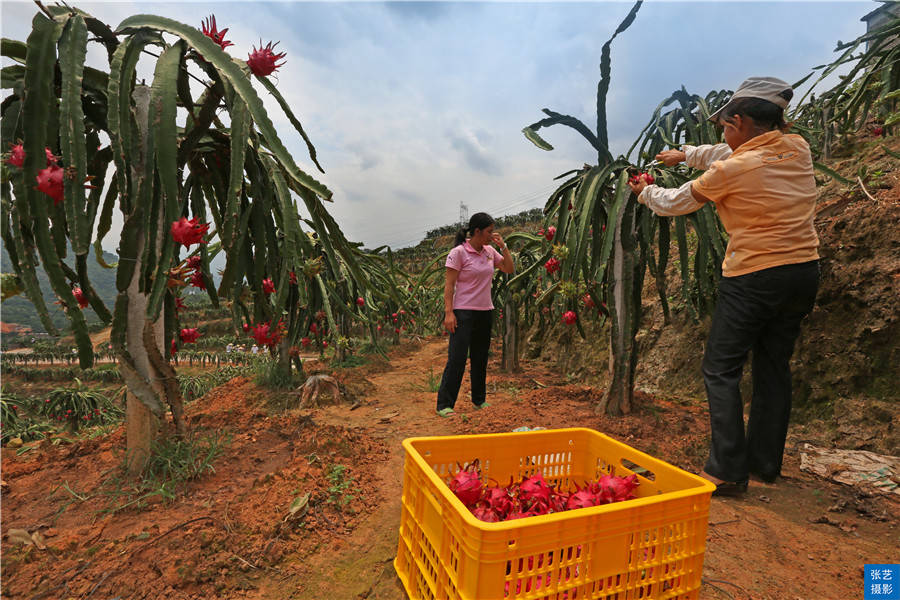 广东最值得推荐的温泉度假村,广州避世温泉小镇