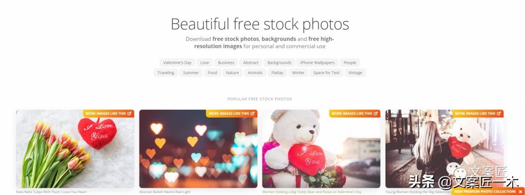 国外免费图片素材网站,免费无版权的图片网站