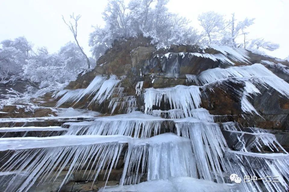 霜情雪意冰为天：四川光雾山记！