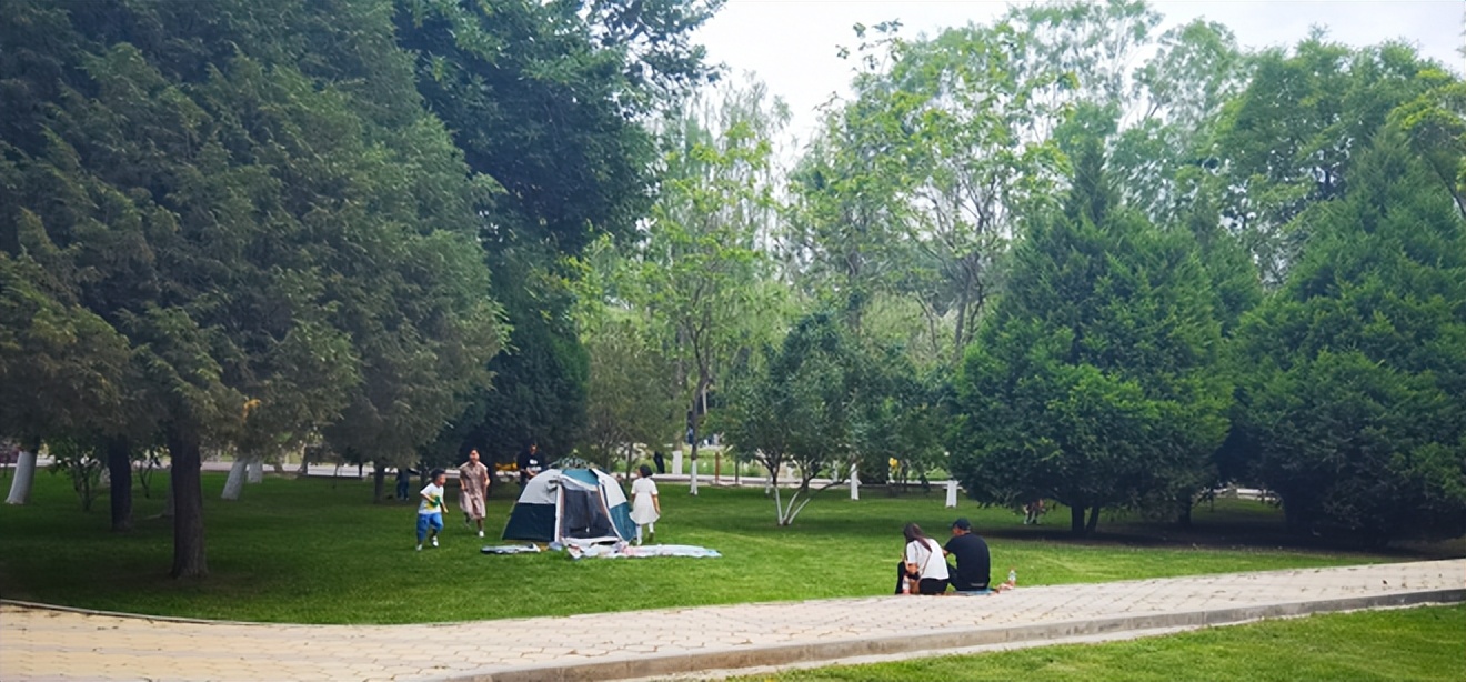 银川黄河边露营攻略,银川自驾帐篷露营地点推荐